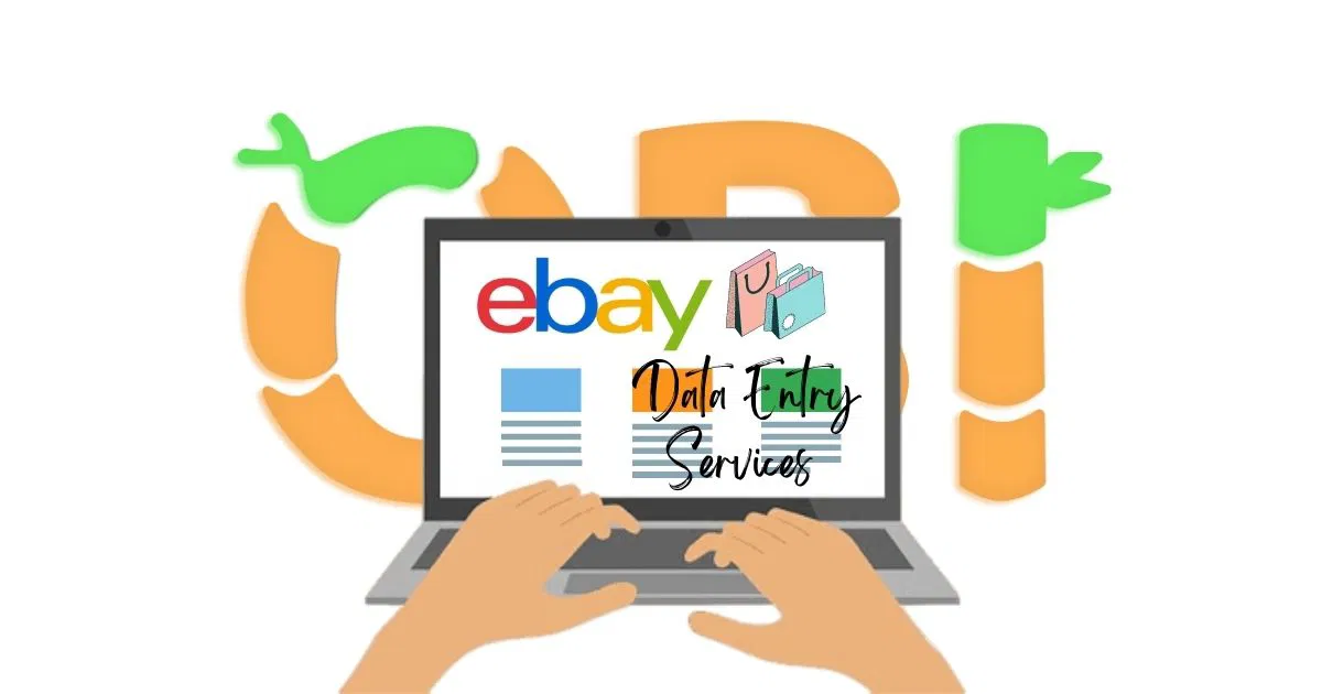 Ebay Data Entry Package